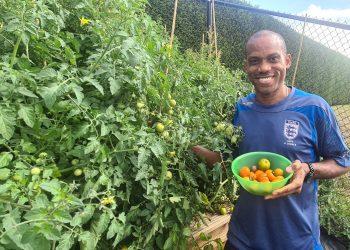 Sunday Oliseh unveils “Amazon-like” tomatoes farm