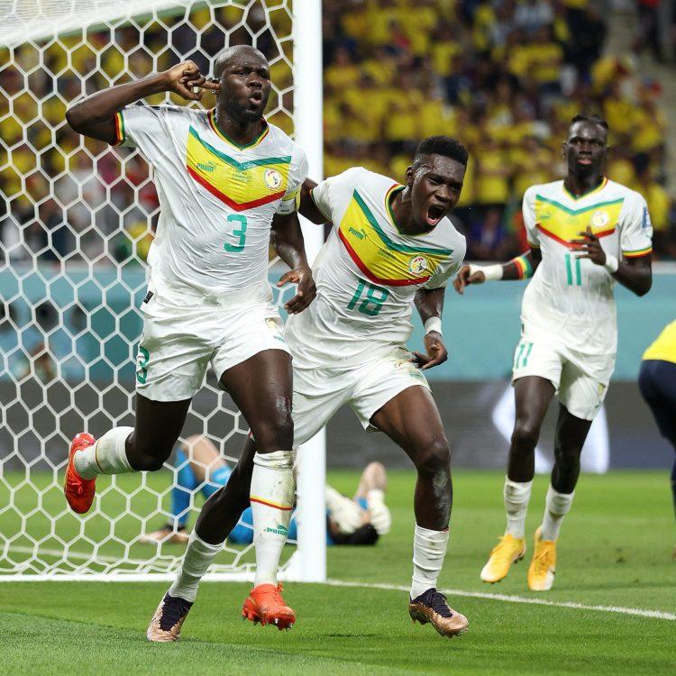 “Senegal is the pride of Africa”- Nigerian fans shower encomiums on Teranga Lions after important victory over Ecuador