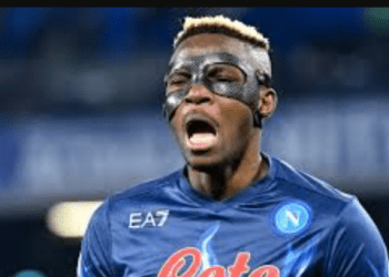 Two Super Eagles stars nominated for Serie a Player of the Month award