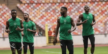 Uzoho, Nigeria’s number one – Super Eagles coach confirms Okoye is down the pecking order