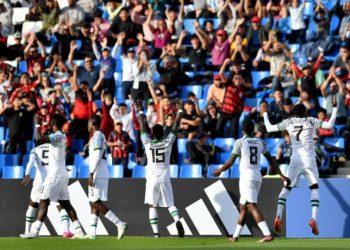 2023 World Cup: Waldrum tips Super Falcons to replicate Morocco’s Qatar feat