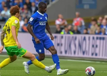 “He’s the best in the league”- Cardiff City boss hails Super Eagles star after unfortunate incident at Hawthorns