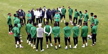 What do Ahmed Musa and William Troost-Ekong have to offer as Super Eagles hunt AFCON glory in Ivory Coast?