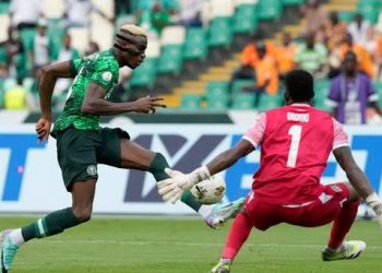 AFCON 2023: Five Super Eagles that can wreck Equatorial Guinea