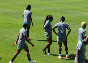 Ex-Super Falcons goalkeeper’s bold prediction: Chiamaka Nnadozie holds the key to Nigeria’s goalkeeping future