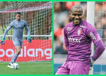 “See you in camp” – Enyeama set to repair broken bond with the Super Eagles?