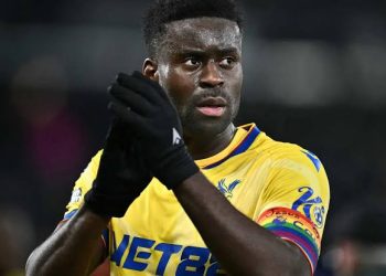 Crystal Palace goalkeeper eyeing Super Eagles future secures loan move to AFC Wimbledon