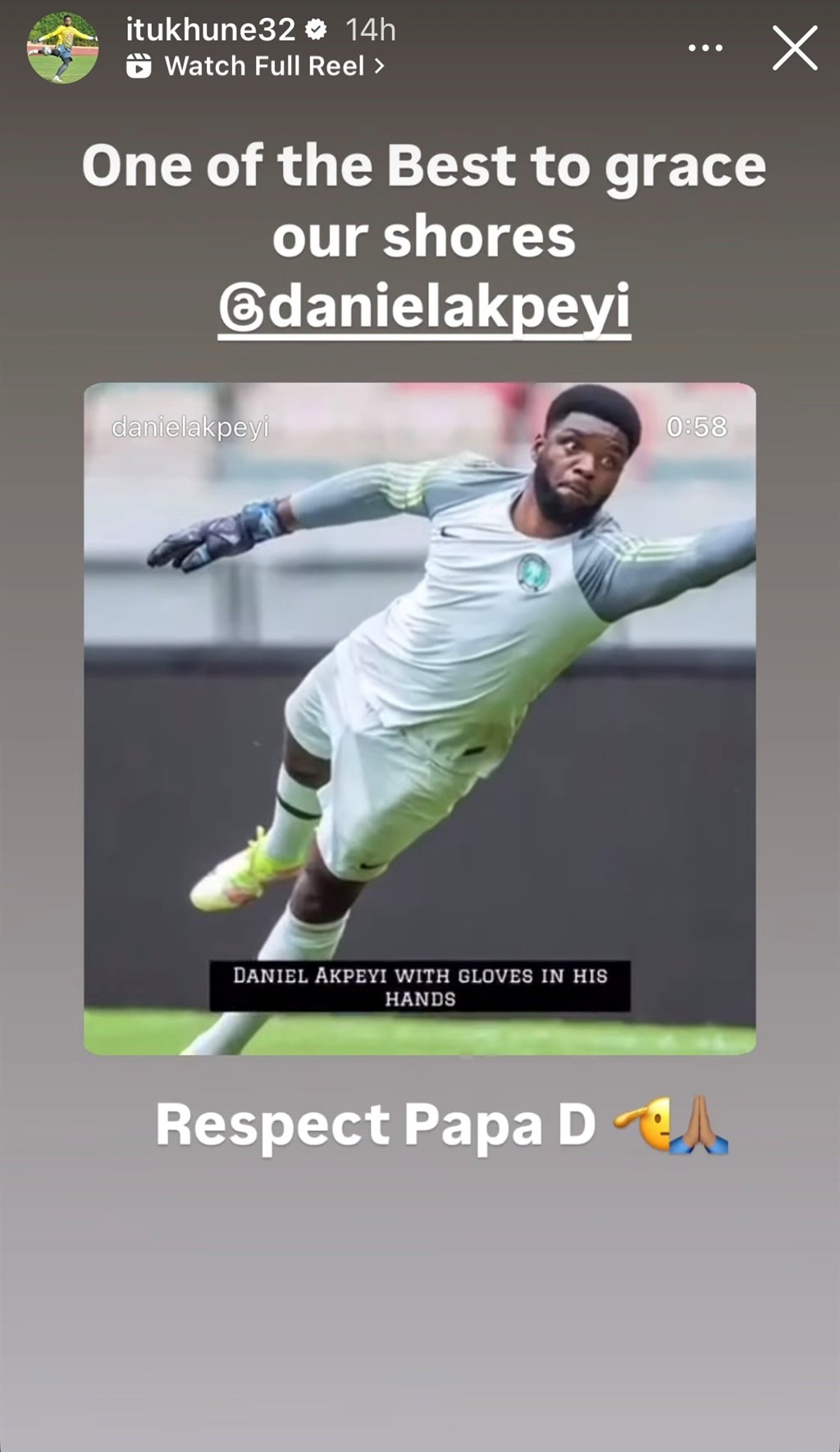 Super Eagles star Daniel Akpeyi