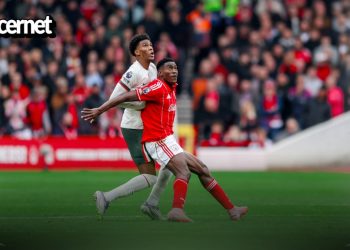 Super Eagles in the Premier League: Hits and misses from matchday 11