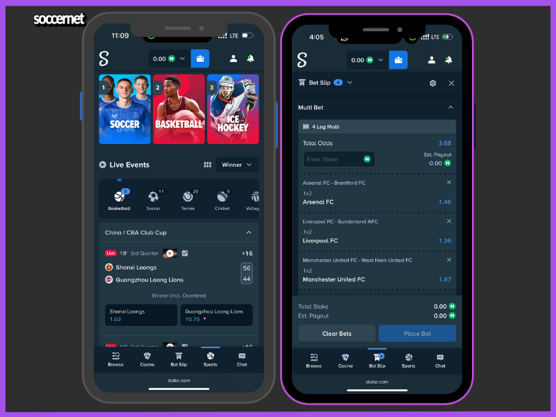 Stake online sports betting options.