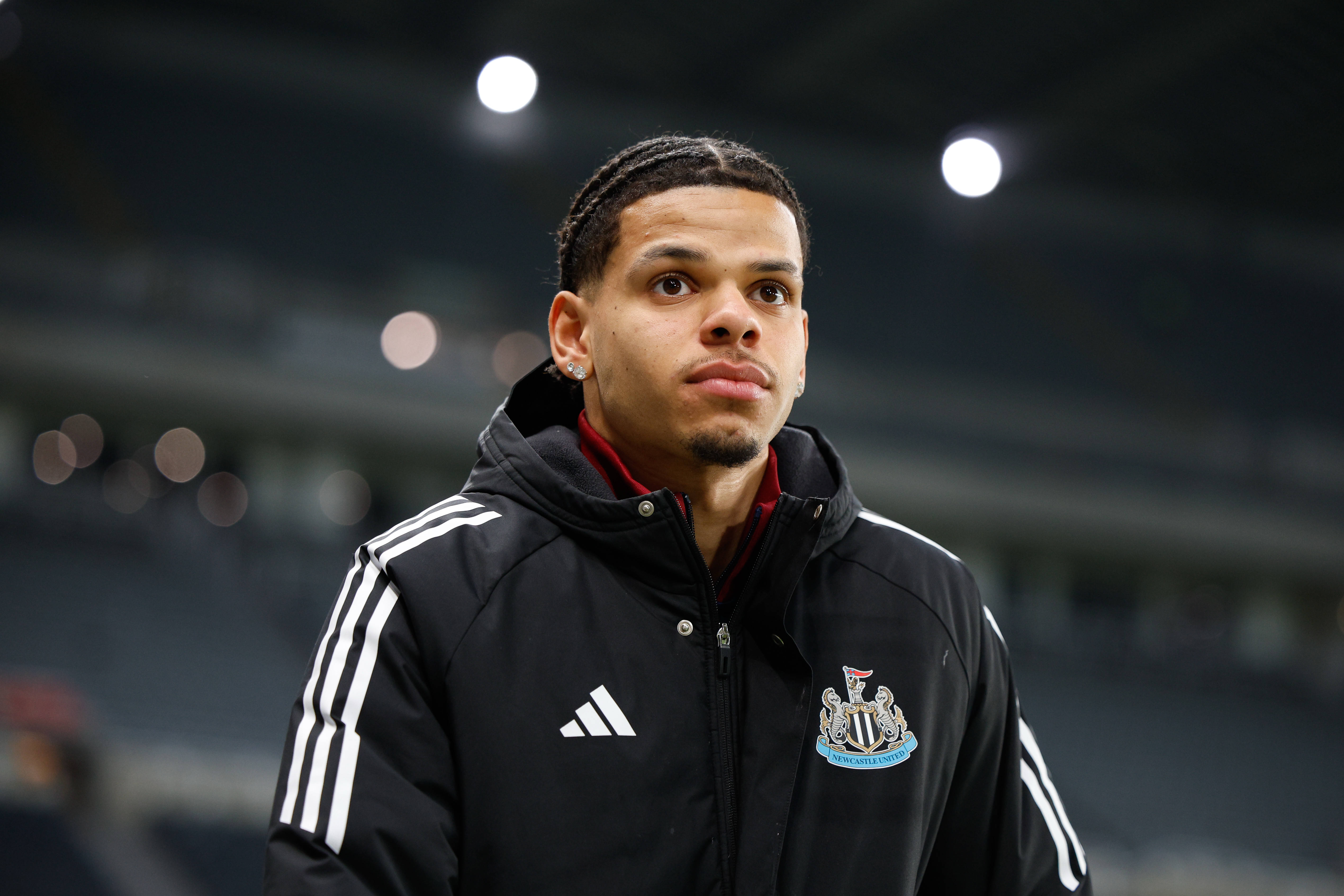 William Osula: Ex-Brentford star backs NFF push to secure Newcastle striker for Super Eagles