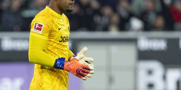 Flamingoes take pound of flesh against Germany; achieve record high