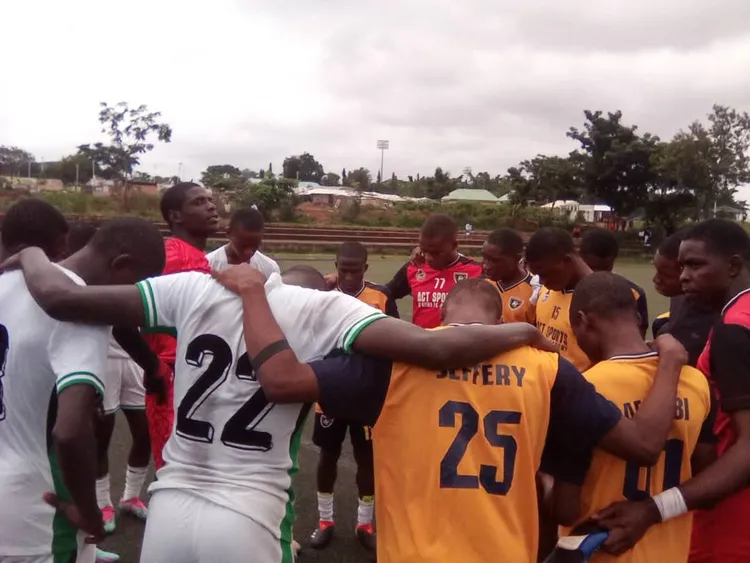 Golden Eaglets