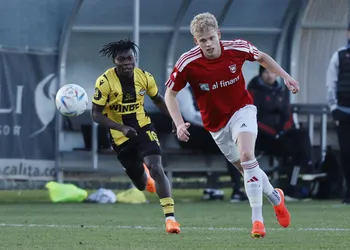 Victor Osimhen will shine in the EPL – Says ex-Besiktas and Club Brugge star