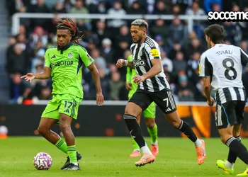 “You have Chukwueze, Alex Iwobi” – Ex-Everton star on what Super Eagles must fix despite opening victory