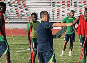 Portugal, Costa Rica friendly: Major boost for Peseiro as Super Eagles captain returns from injury