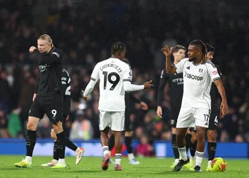 What Fulham boss said after Chukwueze, Iwobi, Bassey made Super Eagles’ squad for AFCON 2025