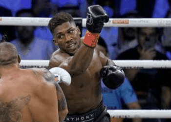 Fan Compares Iheanacho To Nigeria’s World Boxing Champion After Leicester City Star’s Goalscoring Resurgence