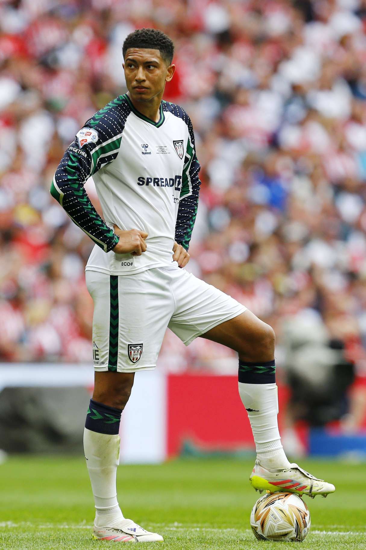 Jobe Bellingham for Sunderland (Photo credit: Imago)