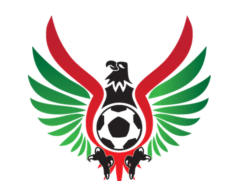 SoccerNet Nigeria:LMC