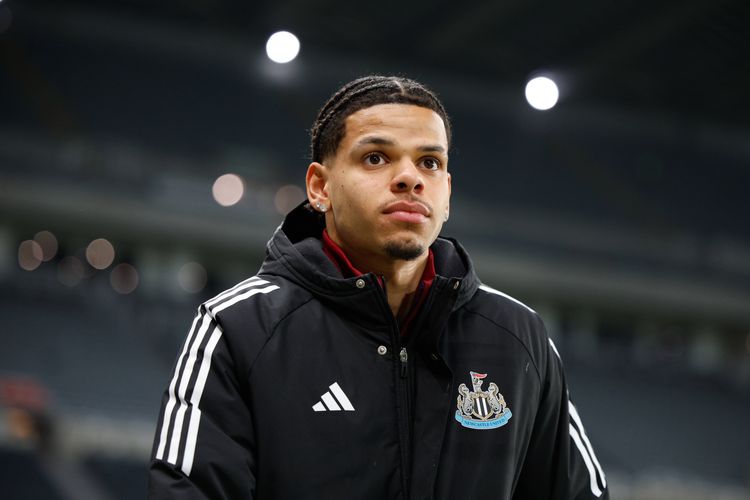 William Osula: Ex-Brentford star backs NFF push to secure Newcastle striker for Super Eagles