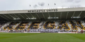 “A group indeed”- Newcastle United star hails DR Congo after beating Super Eagles to World Cup playoffs ticket