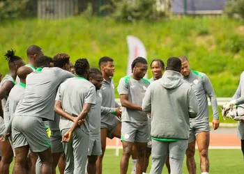 Report: Leicester City make decision on Wilfred Ndidi as Fenerbahce links grow stronger