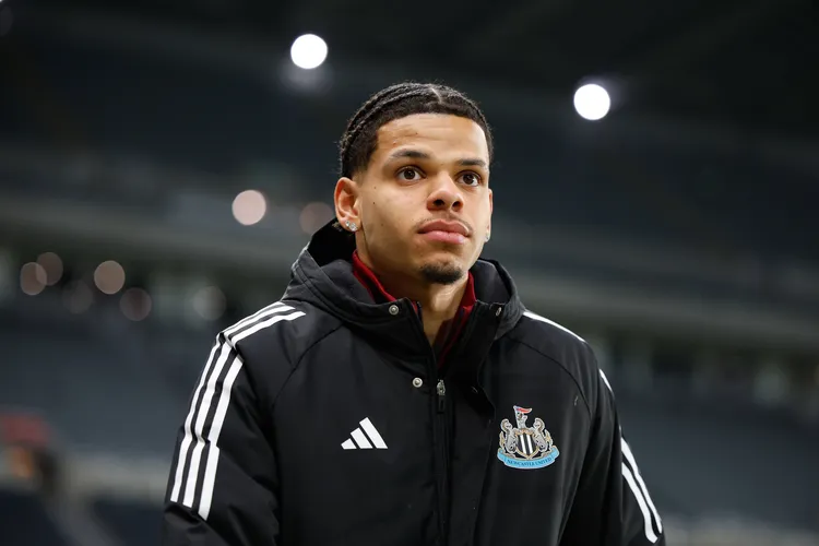 William Osula: Ex-Brentford star backs NFF push to secure Newcastle striker for Super Eagles