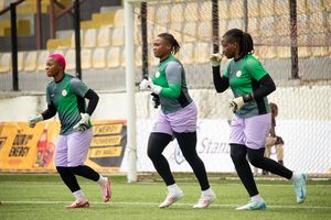 First among equals: Record-breaking Nigerian star named in Première Ligue Team of the Season in France