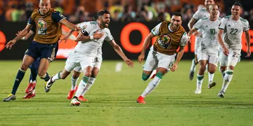 “I like these kind of matches” – Algeria coach Petkovic confident ahead of AFCON 2025 QF date with Nigeria