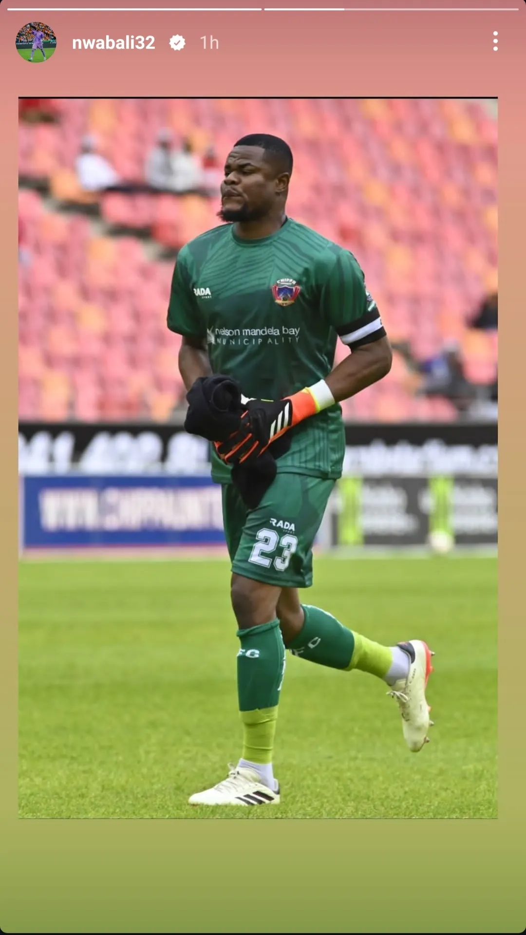 Stanley Nwabali in action for Chippa United. [Photo credit: Instagram]