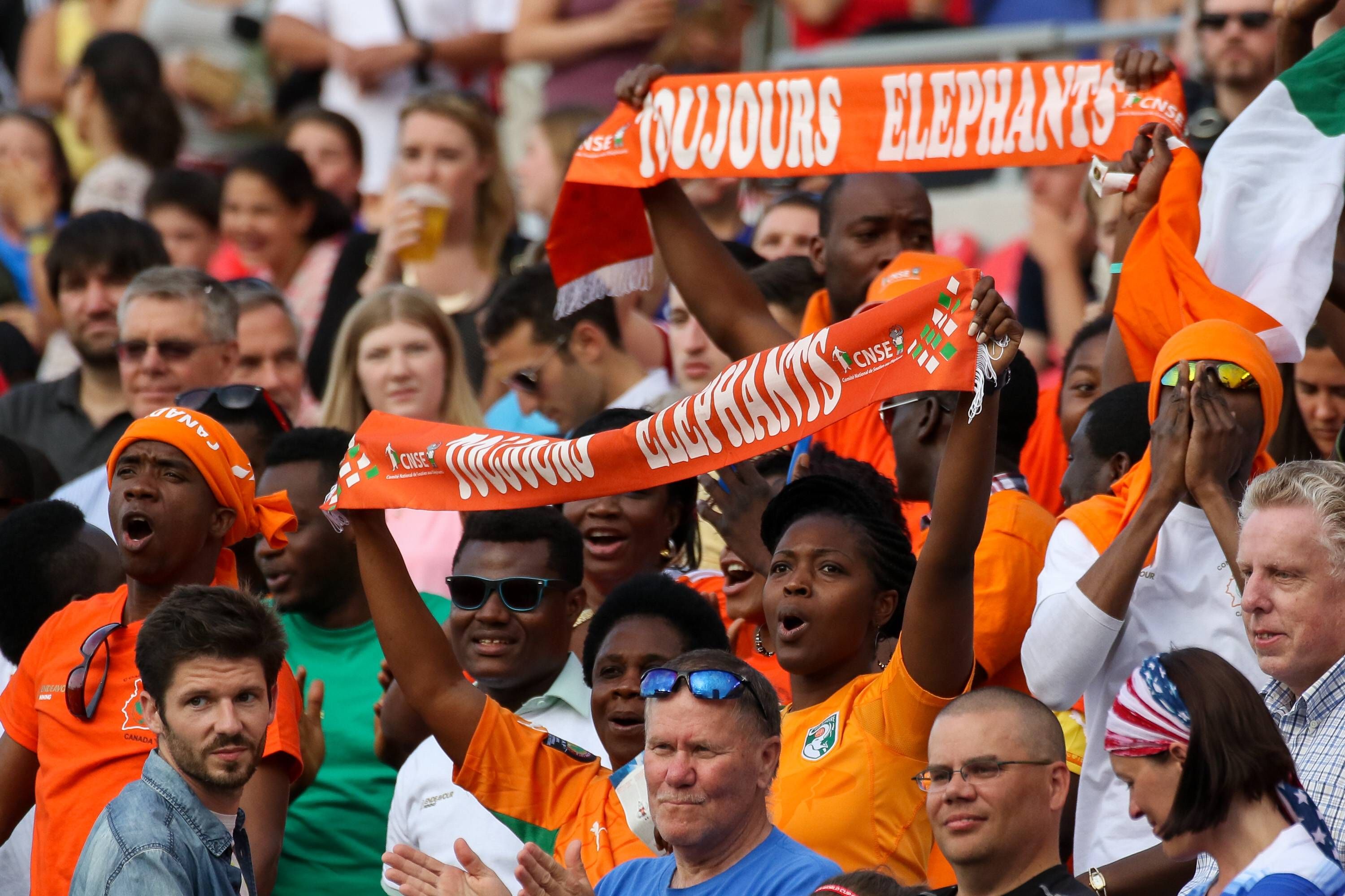 Ivory Coast fans 