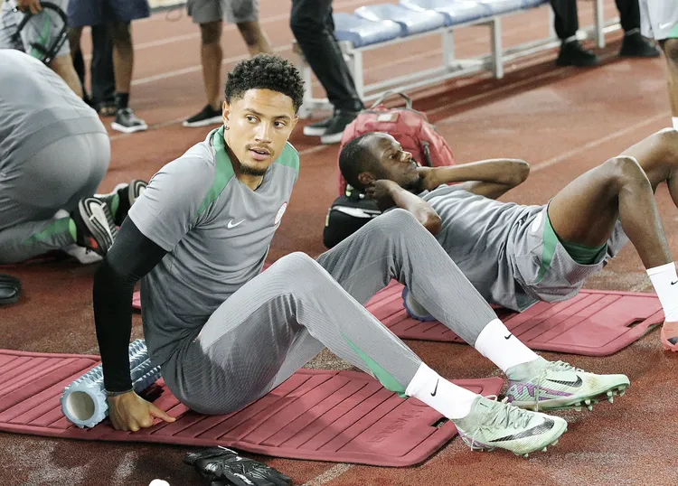 Super Eagles star Maduka Okoye. 
