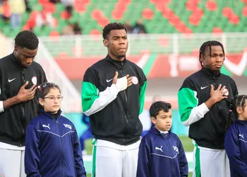 “You have Chukwueze, Alex Iwobi” – Ex-Everton star on what Super Eagles must fix despite opening victory
