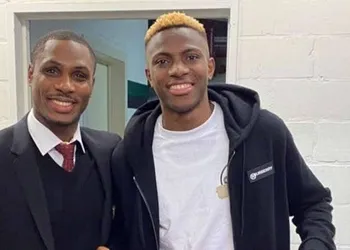Osimhen breaks silence after outburst on Finidi as Nigerians await public apology