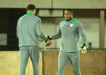 Maduka Okoye: Will Udinese star be ready to boost Super Eagles for World Cup qualifiers?