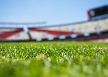 Best Football Betting Sites in Nigeria