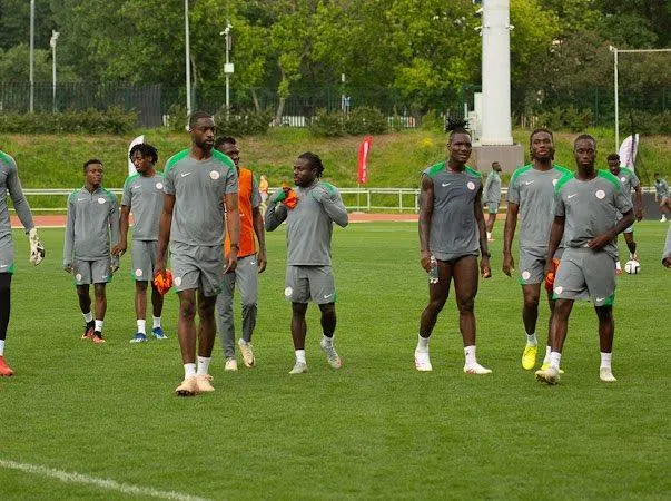 Super Eagles stars