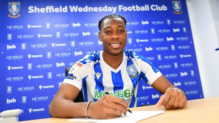 Nigeria-eligible Irish defender joins Sheffield Wednesday on loan from Crystal Palace
