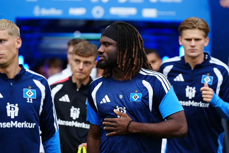 Super Eagles star faces race to be fit for Hoffenheim vs Hamburg clash