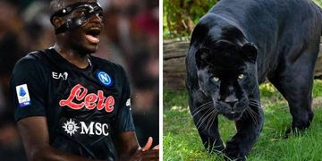 WATCH: Nigeria kidwonder Otusanya opens pro account in Brazil as Náutico edge Jaguar in five-goal thriller