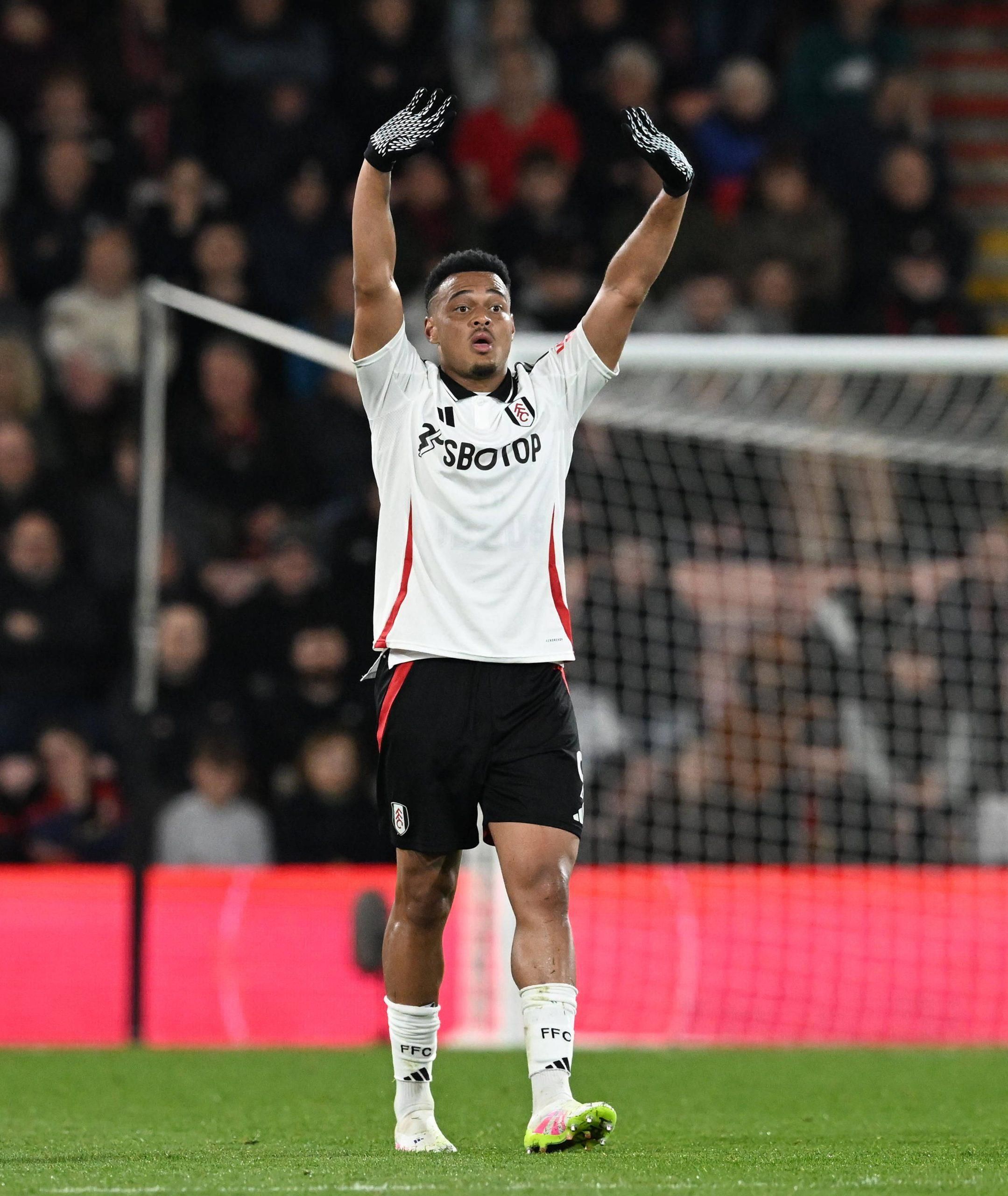 Rodrigo Muniz at Fulham