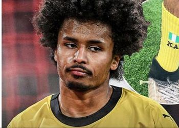 Transfers: Chelsea agree 33.9 billion Naira deal with Crystal Palace to sign Super Eagles-eligible player