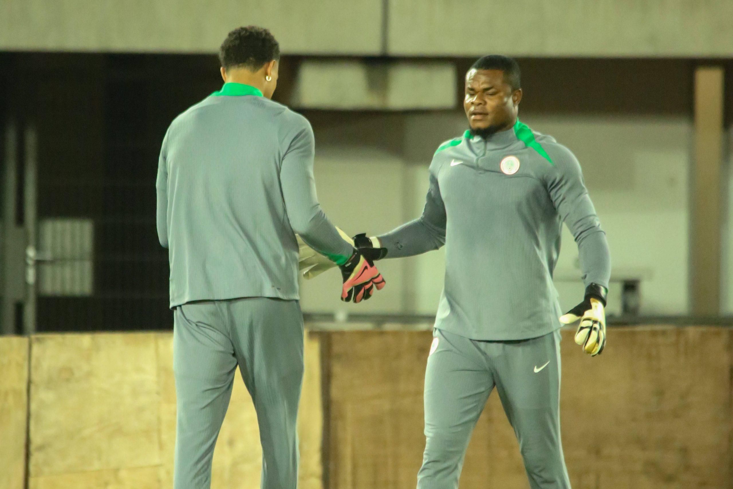 Maduka Okoye and Stanley Nwabali