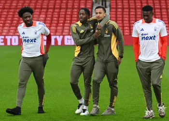 Ekong joins Okocha, Yobo club, but Watford suffers a home defeat against Wolves