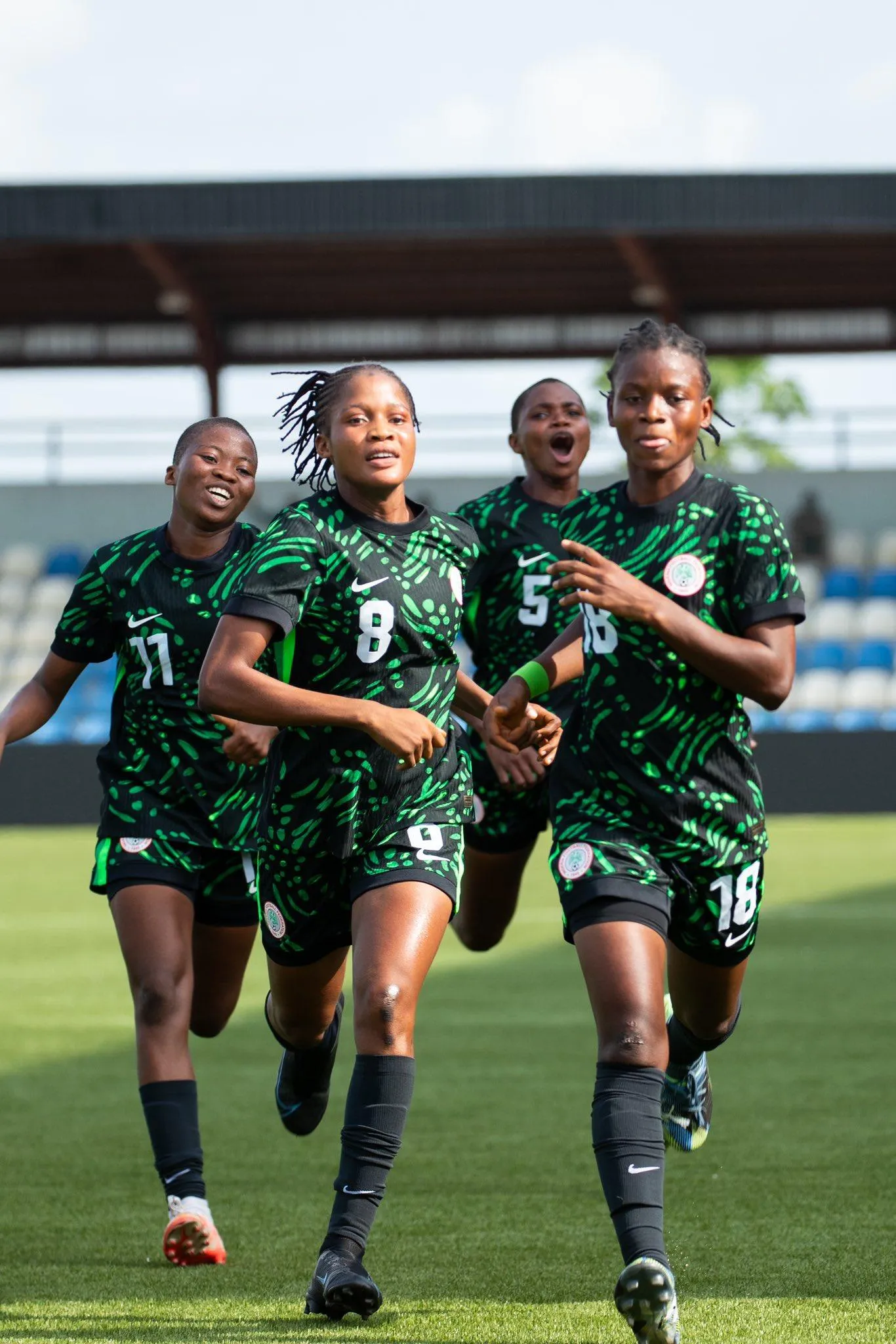Nigeria's Flamingos