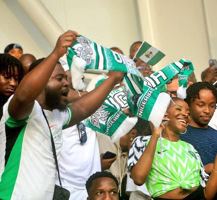 Super Eagles fans