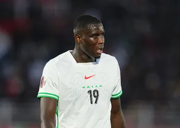 Super Eagles watch: Okoye, Ehizibue ratings as Udinese lose at Napoli