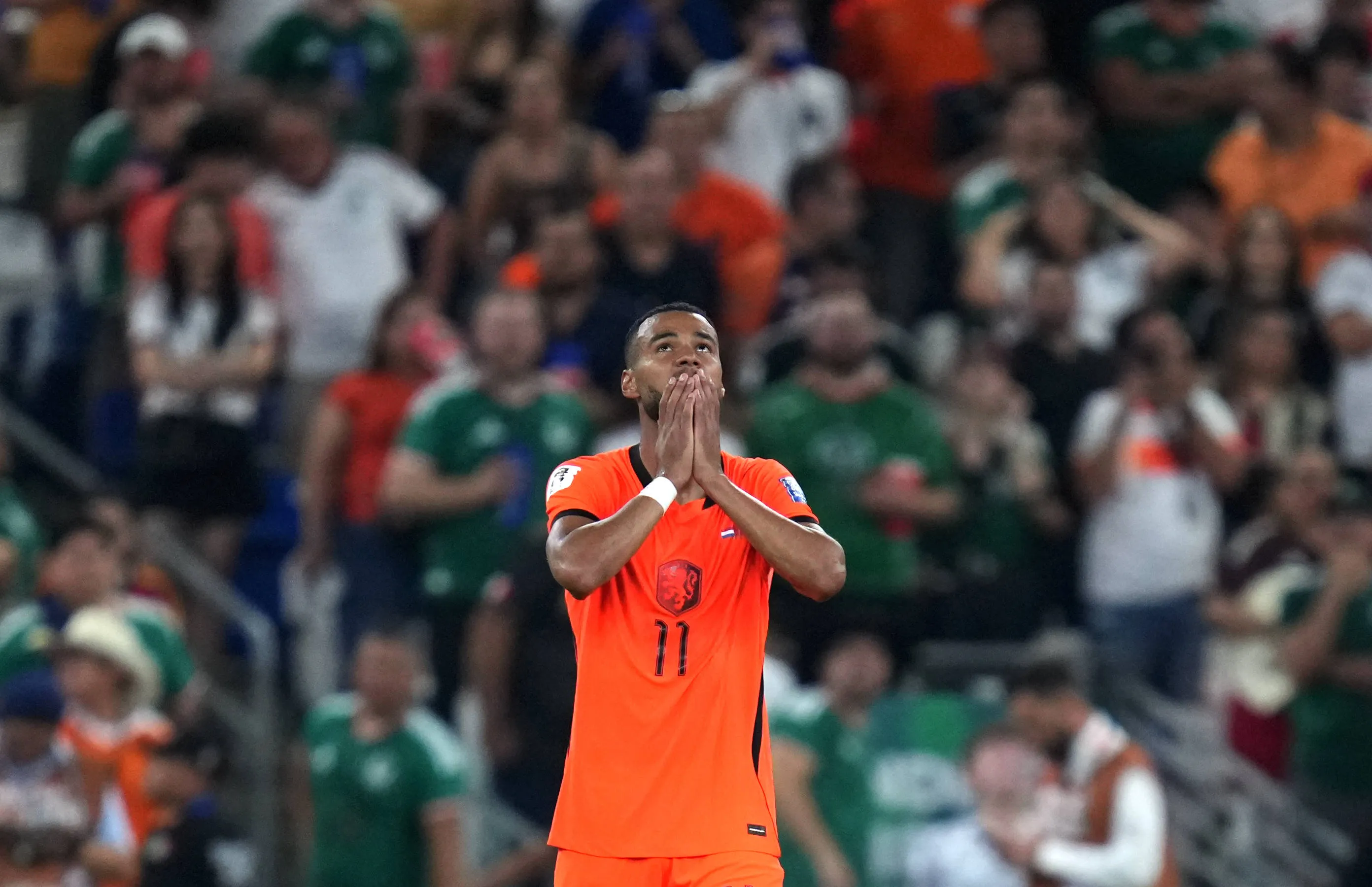 Cody Gakpo of the Netherlands