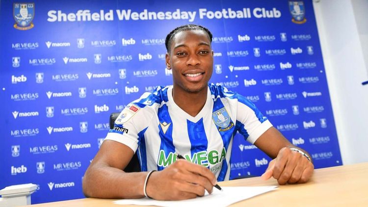 Nigeria-eligible Irish defender joins Sheffield Wednesday on loan from Crystal Palace